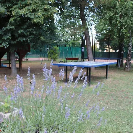 Tara Hotel Nyíregyháza